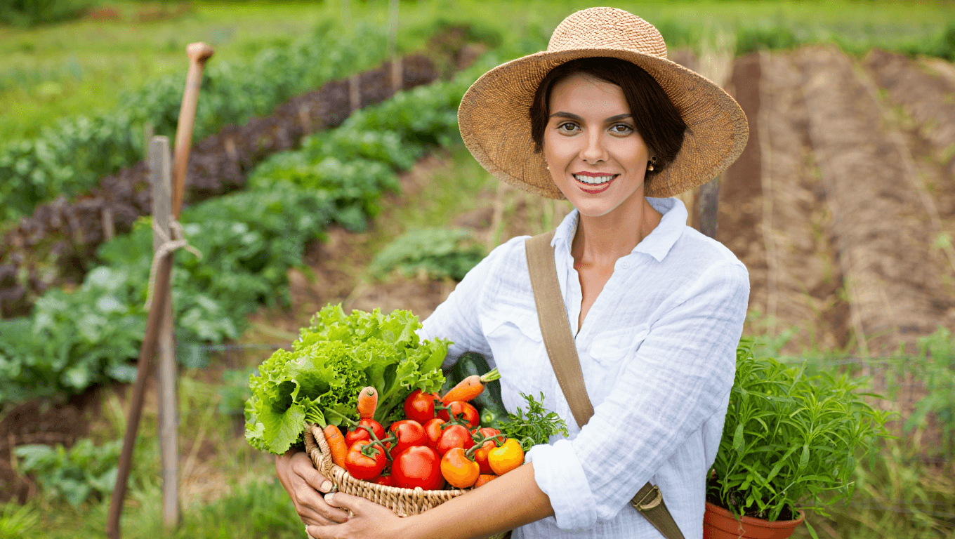 Créer un potager d’été : semis, planification et entretien