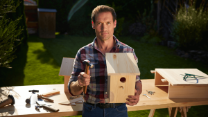 Comment construire et installer un nichoir à oiseau ?