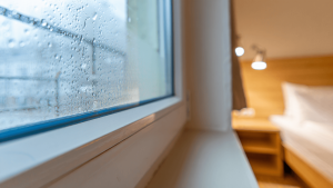 11 méthodes pour lutter contre la condensation aux fenêtres et assainir la chambre