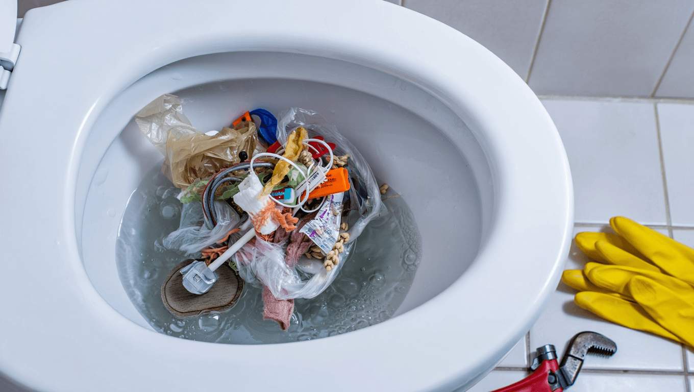 10 choses à ne surtout pas jeter aux toilettes si vous voulez éviter la catastrophe !