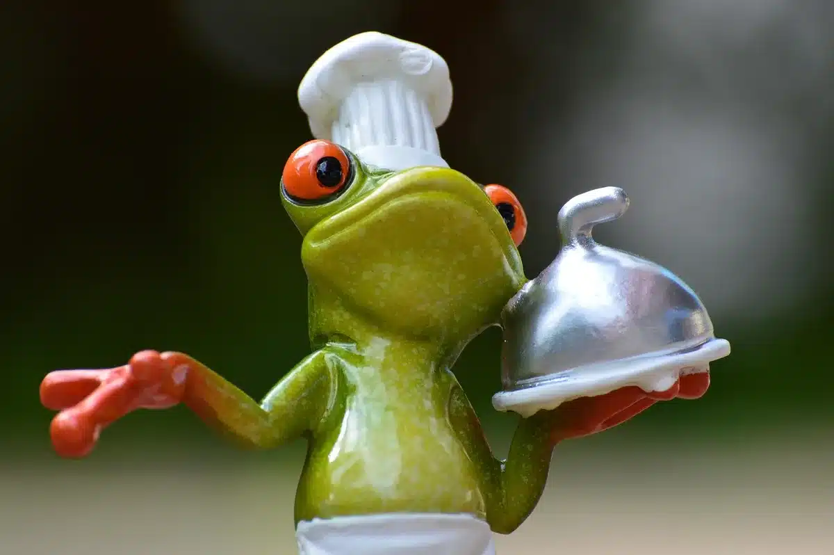 Cuisine blanche avec murs terre cuite et éléments en bois chaleureux