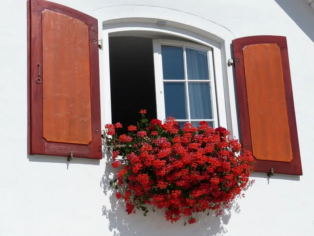 Plantes retombantes sur balcon créant un effet cascade en plein jour