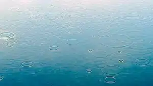Jardin après la pluie avec flaques d'eau stagnante et moustiques volant au-dessus